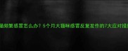 幼猫频繁感冒怎么办5个月大猫咪感冒反复发作的7大应对措施