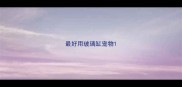 最好用玻璃缸宠物