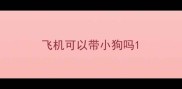 飞机可以带小狗吗