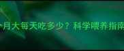 边境牧羊犬6个月大每天吃多少科学喂养指南与营养需求全