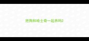 把狗和哈士奇一起养吗