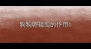 狗狗卵磷脂的作用