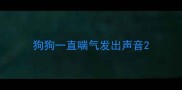狗狗一直喘气发出声音