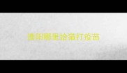 德阳哪里给猫打疫苗