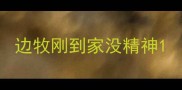 边牧刚到家没精神