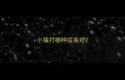 小猫打哪种疫苗好