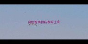 狗的智商排名表哈士奇