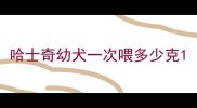 哈士奇幼犬一次喂多少克