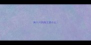 俩个月狗狗注意什么