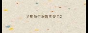 狗狗急性肠胃炎便血