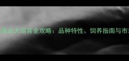 边牧泰迪混血犬培育全攻略品种特性饲养指南与市场前景分析