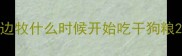 边牧什么时候开始吃干狗粮