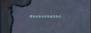 黑色拉布拉多和金毛杂交