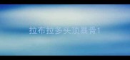 拉布拉多头顶暴骨