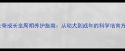 哈士奇成长全周期养护指南从幼犬到成年的科学培育方案