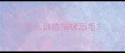 怎么训练猫咪舔毛
