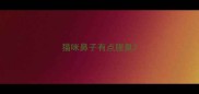 猫咪鼻子有点腥臭