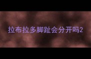 拉布拉多脚趾会分开吗