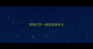 狗狗打完一套疫苗要多久