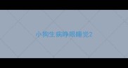 小狗生病睁眼睡觉