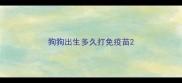 狗狗出生多久打免疫苗