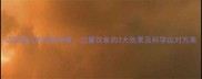 边牧腹泻的罪魁祸首过量饮食的3大危害及科学应对方案