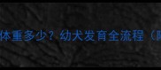 两个月大藏獒体重多少幼犬发育全流程附成长对照表