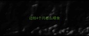 边牧4个月怎么喂食
