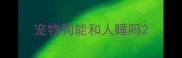 宠物狗能和人睡吗