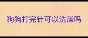 狗狗打完针可以洗澡吗
