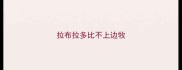 拉布拉多比不上边牧
