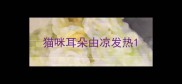 猫咪耳朵由凉发热