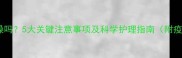 狗狗打疫苗前能洗澡吗5大关键注意事项及科学护理指南附疫苗与洗澡时间表