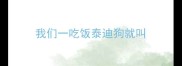 我们一吃饭泰迪狗就叫