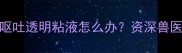 两个月大幼犬频繁呕吐透明粘液怎么办资深兽医教你科学应对指南
