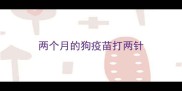 两个月的狗疫苗打两针