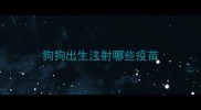 狗狗出生注射哪些疫苗