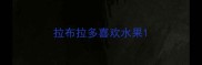 拉布拉多喜欢水果