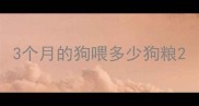 3个月的狗喂多少狗粮
