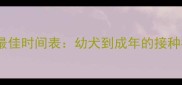 金毛犬狂犬疫苗最佳时间表幼犬到成年的接种指南与注意事项