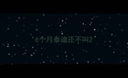 6个月泰迪还不叫