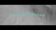 拉布拉多可以做什么犬