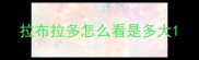 拉布拉多怎么看是多大