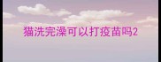 猫洗完澡可以打疫苗吗