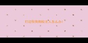 打边牧狗狗咬主人怎么办