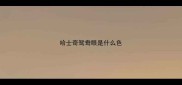 哈士奇鸳鸯眼是什么色