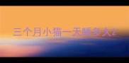 三个月小猫一天睡多久