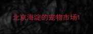 北京海淀的宠物市场