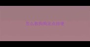 怎么教狗狗定点排便