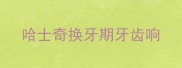 哈士奇换牙期牙齿响